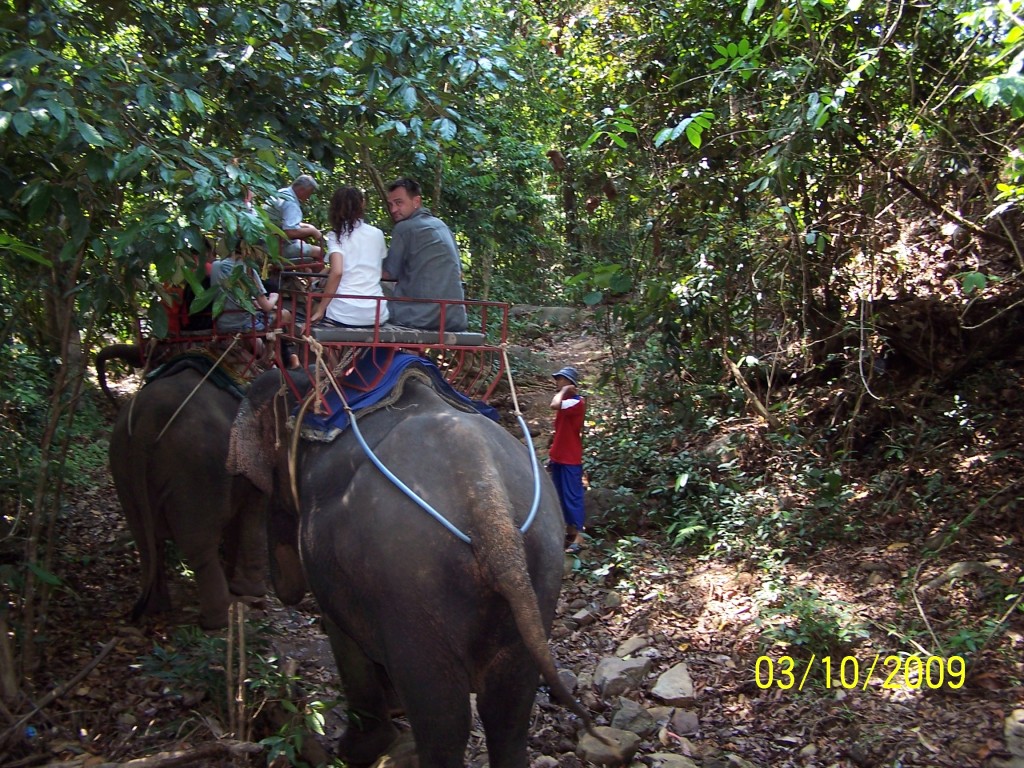 слоны Тайланда,фото Тайланда, шоу слонов