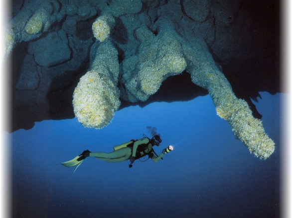 риф Белиза, дайвинг в Белизе, подводные чудеса света, голубая дыра
