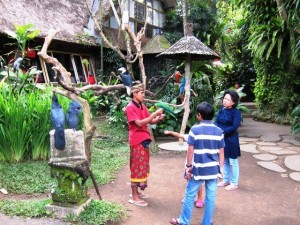 Антонио Бланко фото, музеи Бали, история Бали
