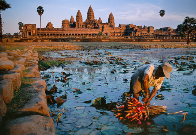 Лотосы в Ангкор-Ват,старые и новые чудеса света,куда поехать заграницу,топ самых красивых мест мира