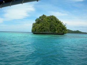 Палау остров света, кораллов, году, мировой, Морские, является, видов, Второй, поэтому, некоторые, наиболее, синий, очень, остров, экосистему, назад